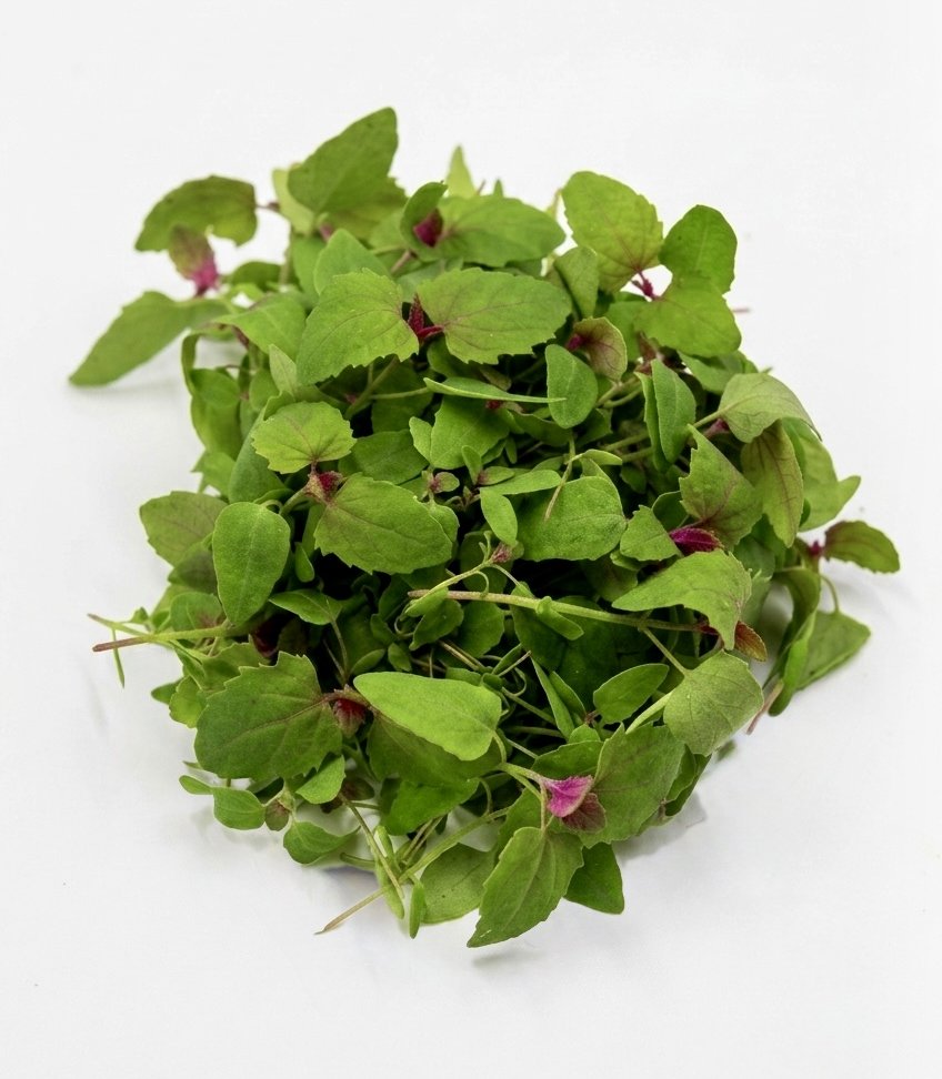 Erba Spontanea Amaranto Rosa