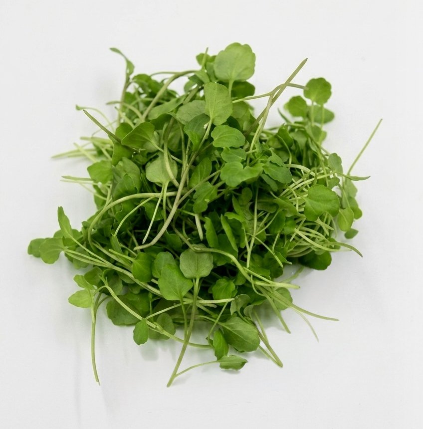 Microgreen Crescione di Ruscello