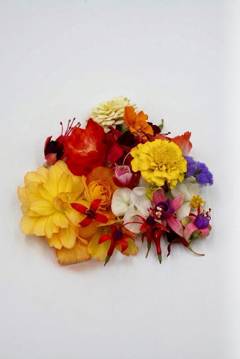 Fiore Edibile Fiori Misti