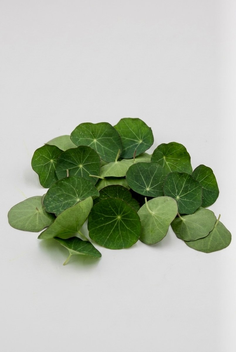 Fiore Edibile Nasturzio