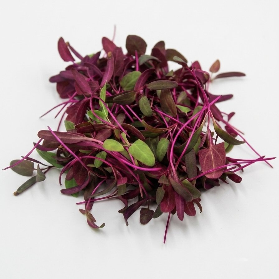 Erba Spontanea Spinacio Rosso